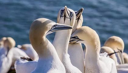 Farts Gaming 助你轻松回归《魔兽世界》