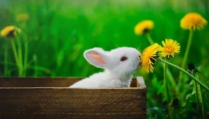 Farts Gaming 助你轻松回归《魔兽世界》